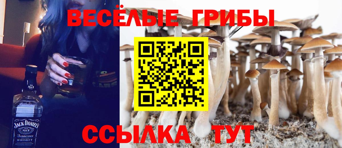 Абинск  Псилоцибиновые грибы прущие грибы  Вход с VPN 
